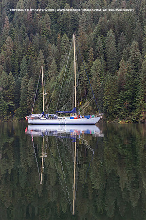 My Home During The Trip