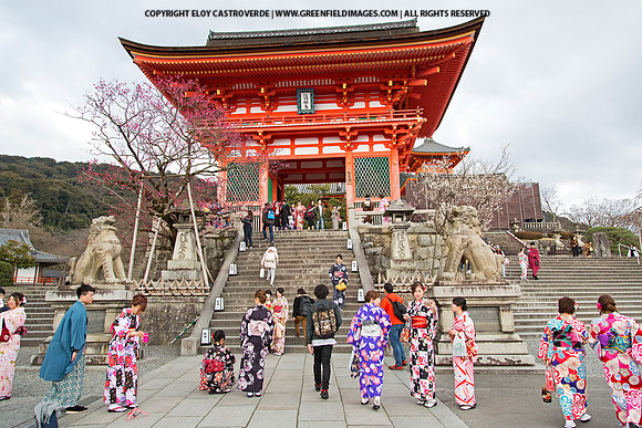 Kiyomizu Temple - Kyoto