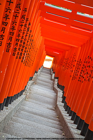 Hie Shrine - Tokyo
