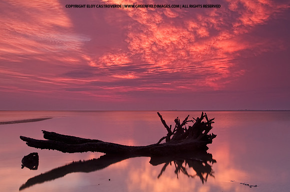 Big Talbot Island (Florida)