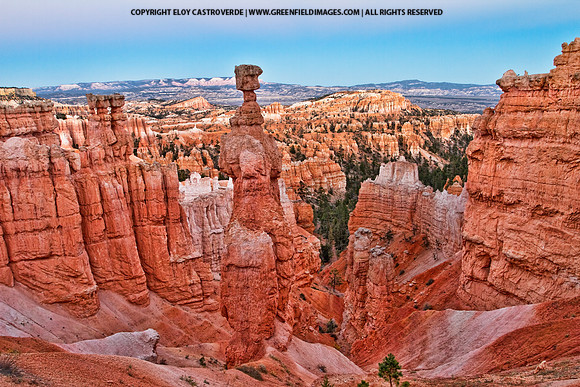 Bryce NP (Utah)