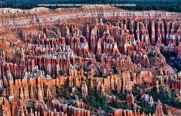 Bryce NP (Utah)