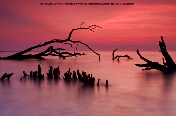 Big Talbot Island (Florida)