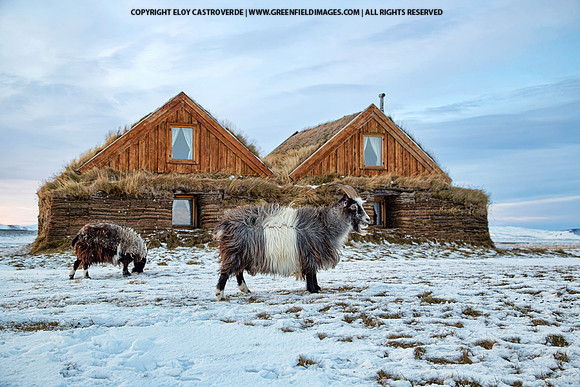 Farm in Myvatn