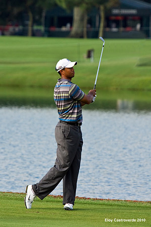 Tiger Woods